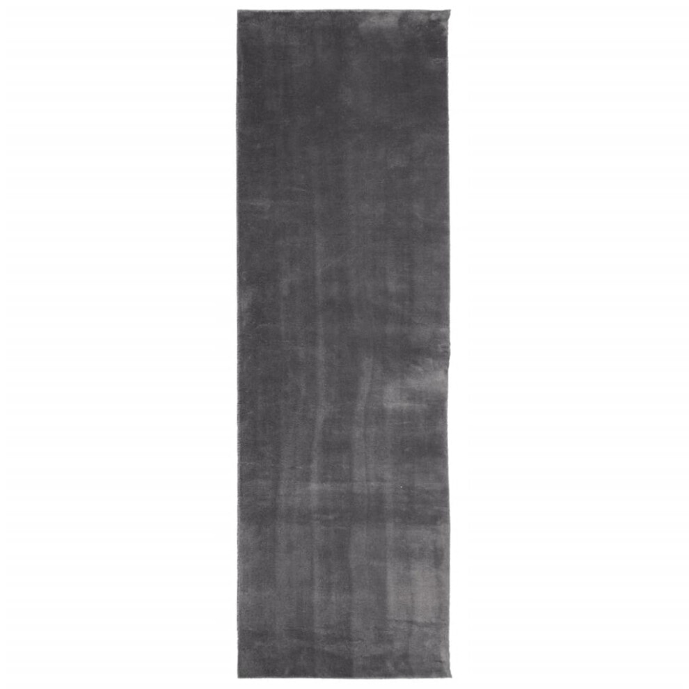 (anthracite, 80 x 250 cm) vidaXL Rug Short Pile Soft and Washable Floor Mat Area Rug Bedroom Carpet