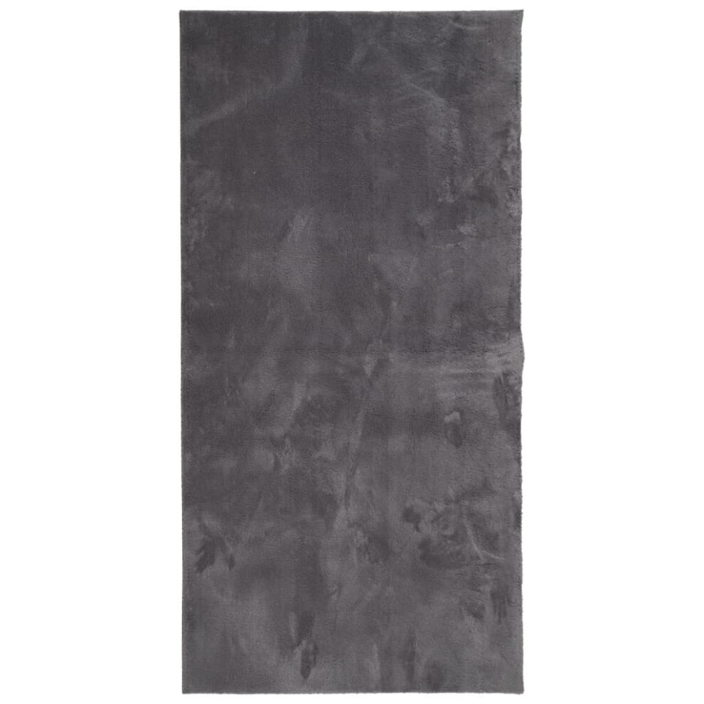 Vidaxl (Anthracite, 100 X 200 Cm) Rug Short Pile Soft And Washable Floor Mat Area Rug Bedroom Carpet