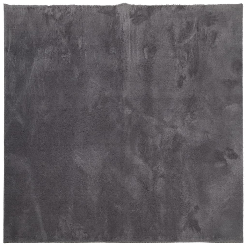 Vidaxl (Anthracite, 120 X 120 Cm) Rug Short Pile Soft And Washable Floor Mat Area Rug Bedroom Carpet