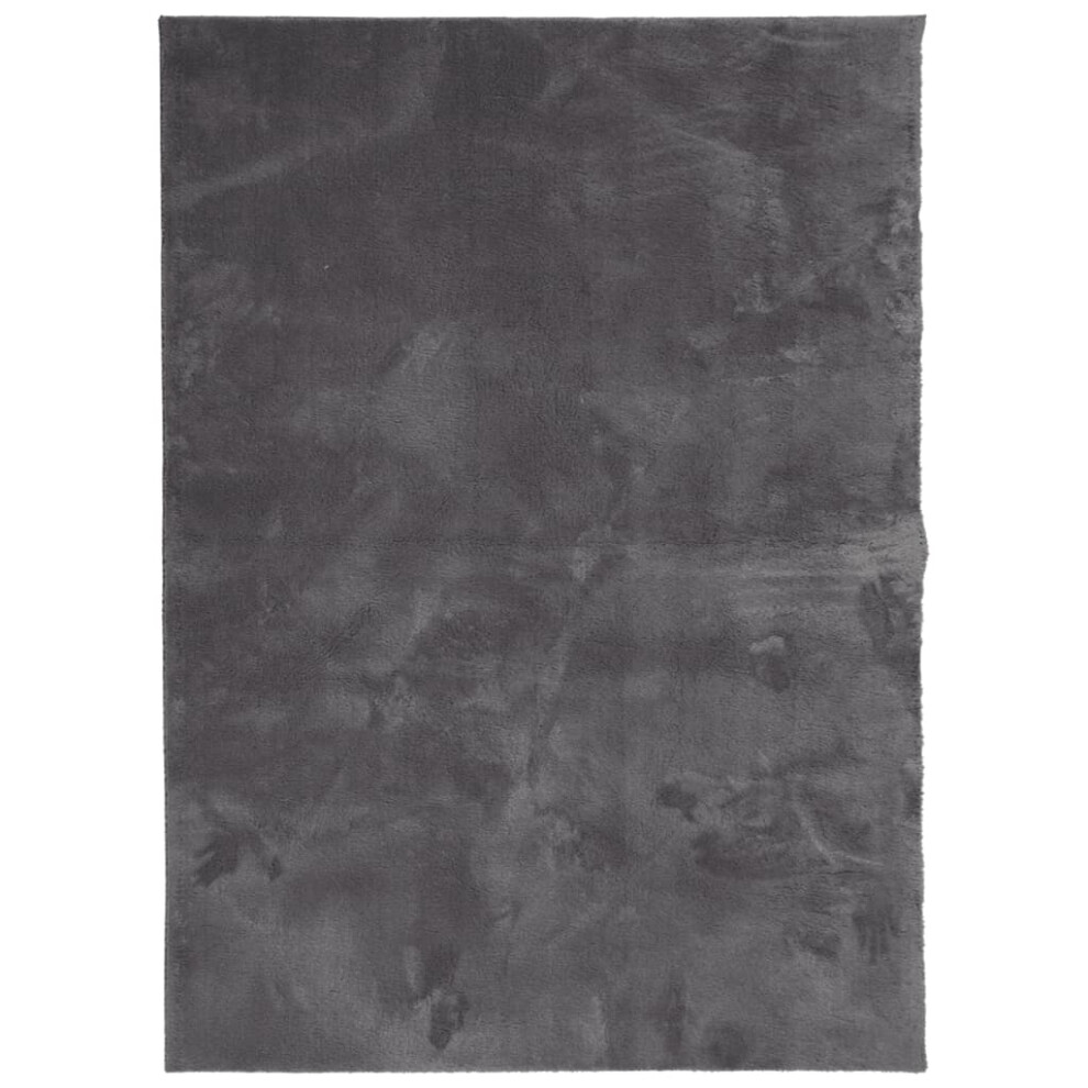 Vidaxl (Anthracite, 120 X 170 Cm) Rug Short Pile Soft And Washable Floor Mat Area Rug Bedroom Carpet