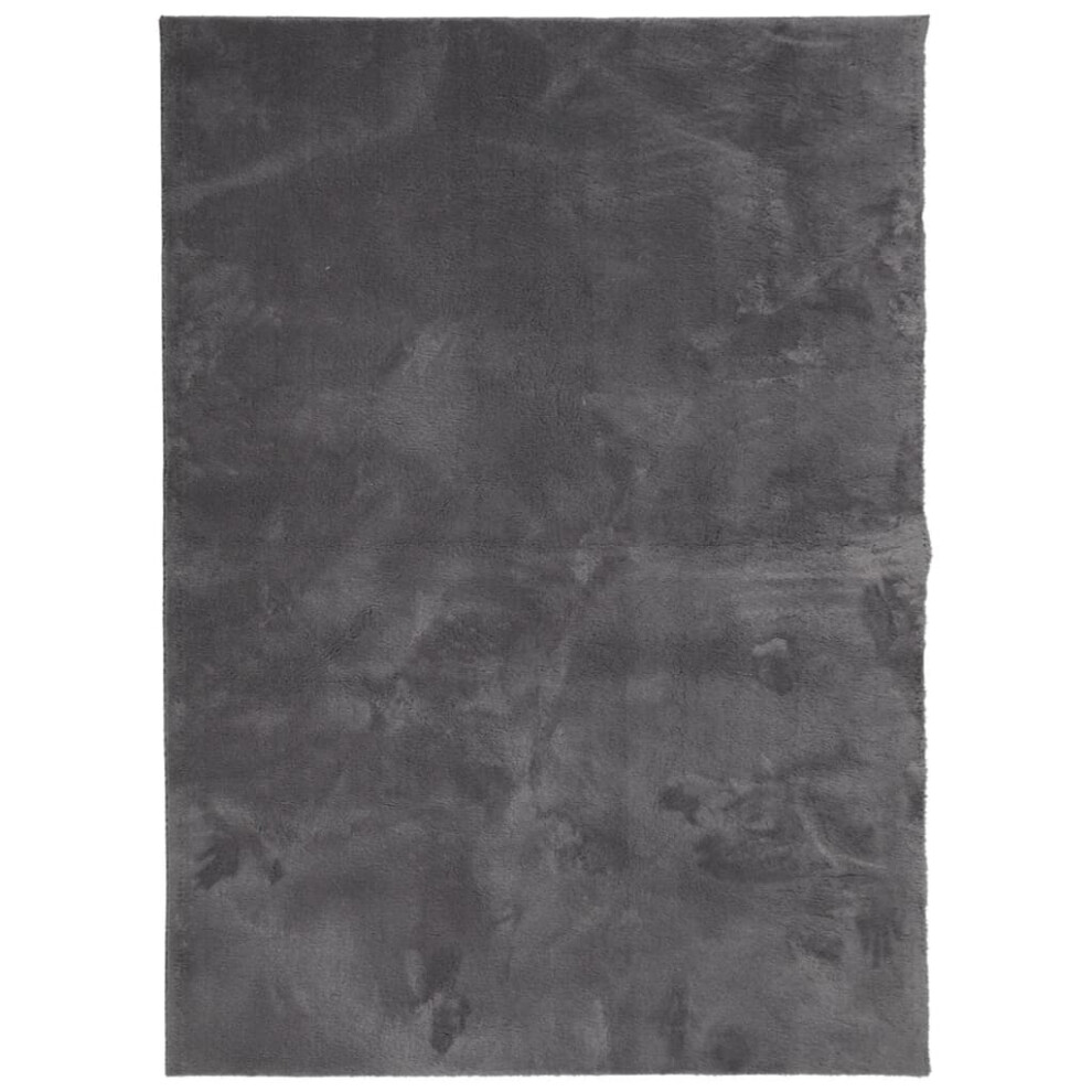 Vidaxl (Anthracite, 140 X 200 Cm) Rug Short Pile Soft And Washable Floor Mat Area Rug Bedroom Carpet