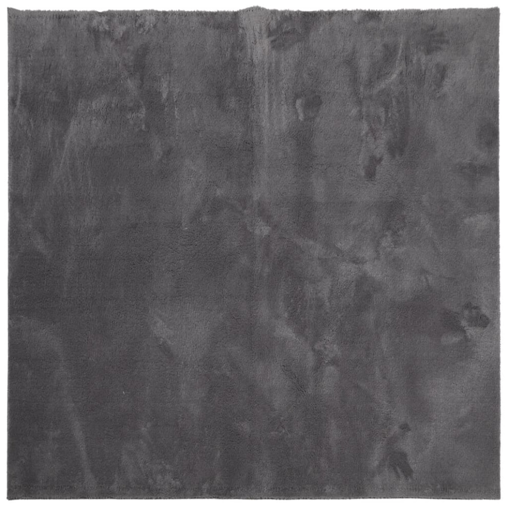 (anthracite, 240 x 240 cm) vidaXL Rug Short Pile Soft and Washable Floor Mat Area Rug Bedroom Carpet