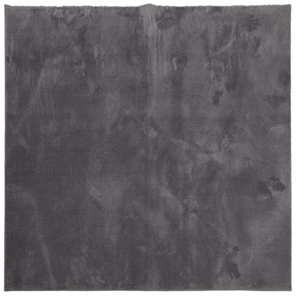 Vidaxl (Anthracite, 240 X 240 Cm) Rug Short Pile Soft And Washable Floor Mat Area Rug Bedroom Carpet