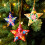(Red) Kashmiri Papier Mache Floral Star - Assorted 3