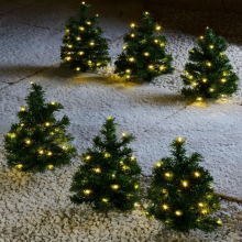 Set of 6 Led Lighted Christmas Pine Tree Light for Outdoor Garden Path
