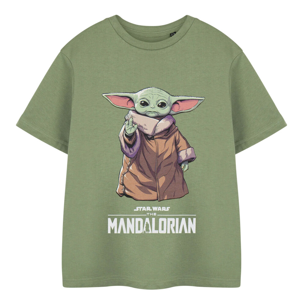 (11-12 Years, Khaki Green) Star Wars The Mandalorian Boys Grogu T-Shirt