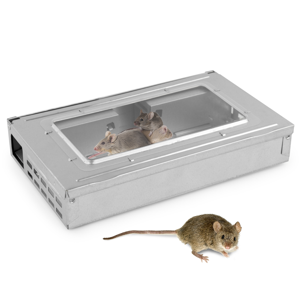 (1 Pack - Multi Catch Mouse Trap) KCT Multi Catch Humane Mouse Traps