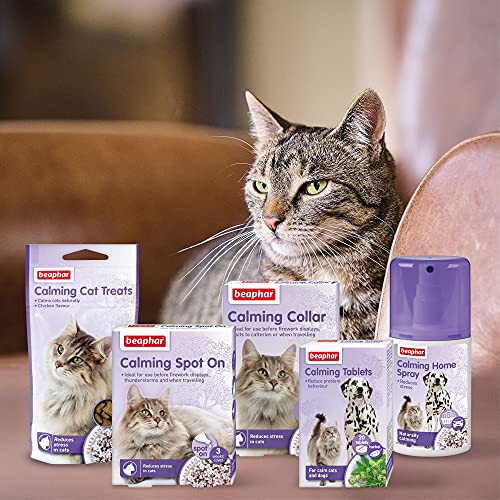 Beaphar Beaphar Calming Spot-On for Cats 2