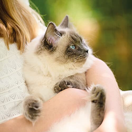 Beaphar Beaphar Calming Spot-On for Cats 1