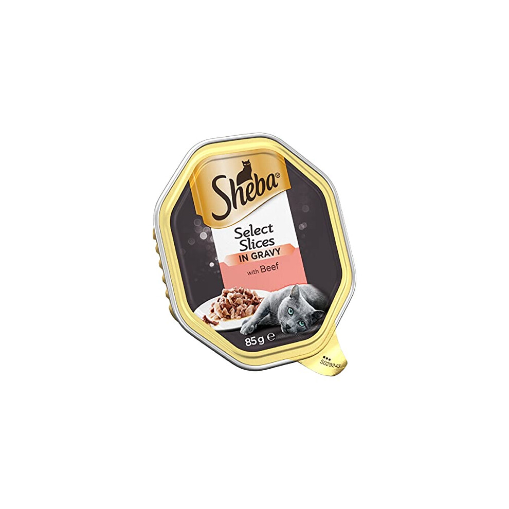 Sheba Select Slices in Gravy ÃÃ¢Ã¢ Beef Selection ÃÃ¢Ã¢ Wet cat food trays for adult cats ÃÃ¢Ã¢ 22 x 85 g Pack