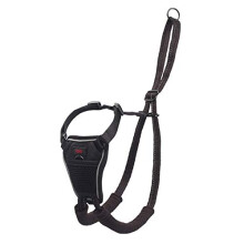 Halti No Pull Dog Harness, You Can Train Your Dog to Stop Pulling on Walks, Available in Size Small
