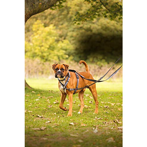 Halti Halti Double Ended Lead, Small, Red, 0.08 kg 2