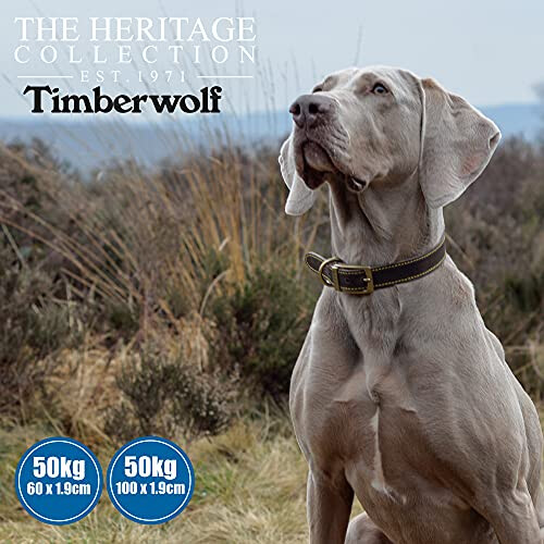 Ancol Ancol Timberwolf Leather Dog Lead, 1 m, Sable 2