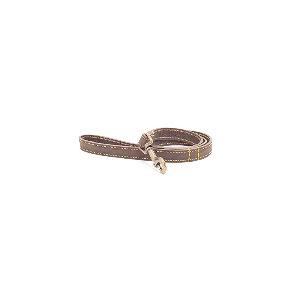 Ancol Timberwolf Leather Dog Lead, 1 M, Sable