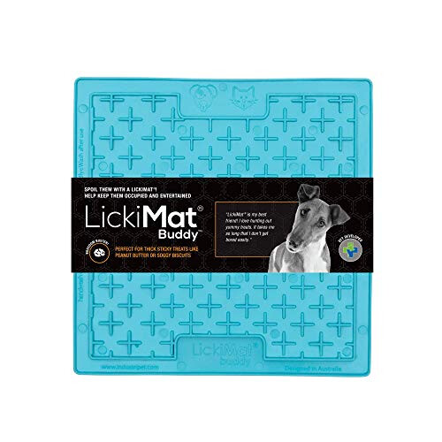 LICKIMAT Buddy Dog Turquoise