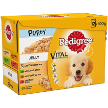 Pedigree Junior Wet Dog Food for Young Dogs and Puppies 2-12 Months Mixed Selection in Jelly, 12 x 100g