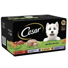 Cesar Garden Terrine - Wet Dog Food for Adult Dogs 1+ Mixed Selection in Loaf, 24 Trays (24 x 150 g)