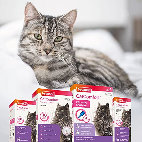 Beaphar Beaphar CatComfort Calming Spot-On, 3 Pipettes 1