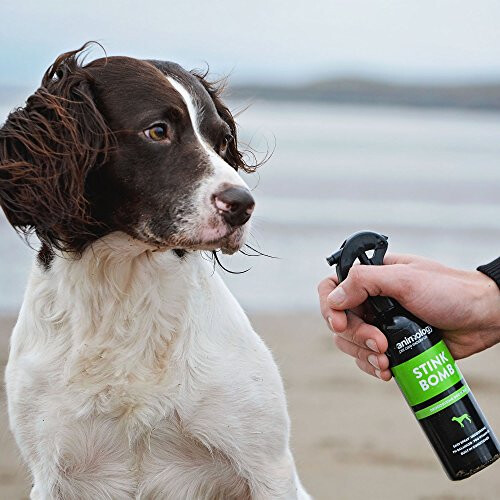 Animology Stink Bomb Deodorising Dog Spray 250ml 2