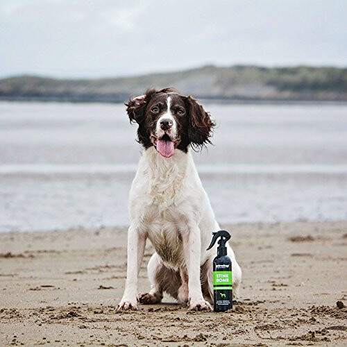 Animology Stink Bomb Deodorising Dog Spray 250ml 1