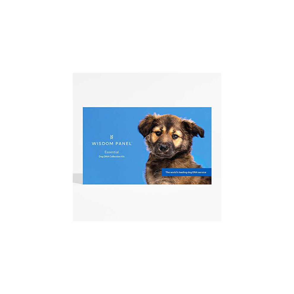 Wisdom Panel Essential - Dog Dna Test For Ancestry, Traits, And Medical Complications, 75 G