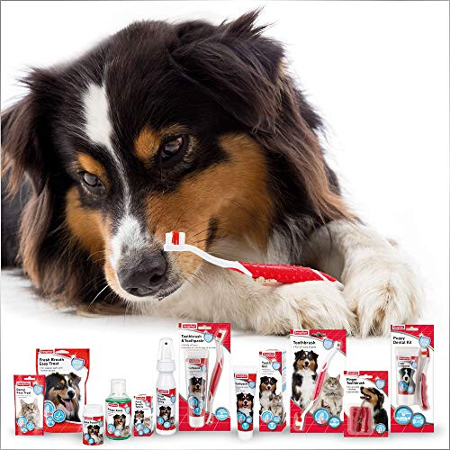 Beaphar Beaphar Toothpaste for Dogs And Cats, 100g 2