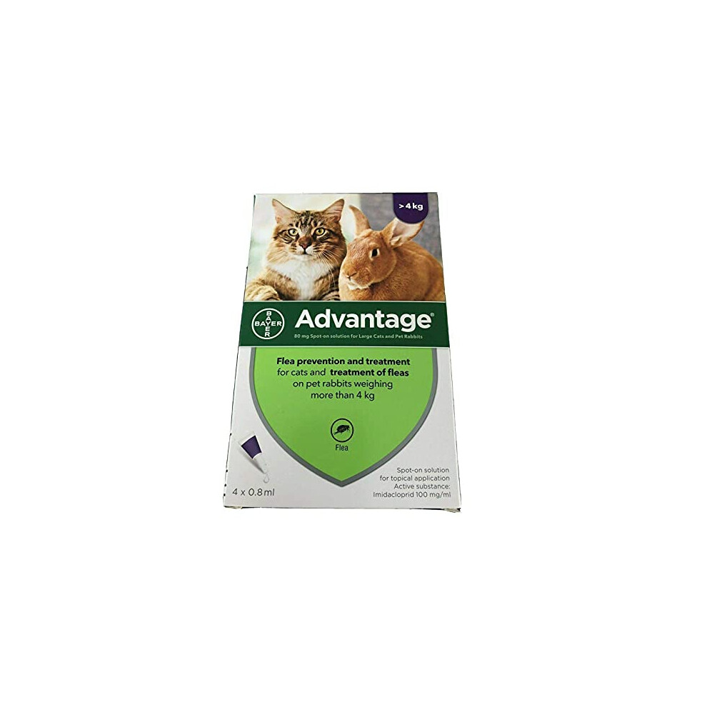 Advantage Spot On Flea Treatment 80 Large Cat and Rabbit >4kg (4 pipettes)