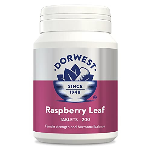 Dorwest Herbs Raspberry Leaf Tablets for Dogs and Cats 200 Tablets