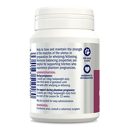 Dorwest Herbs Raspberry Leaf Tablets for Dogs and Cats 200 Tablets 1
