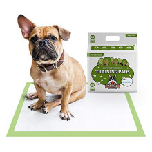Pogi's Training Pads - Large, Super-Absorbent, Earth-Friendly Puppy Training Pads for Small to Large Sized Dogs (Large - 60 x 60 cm, 40-Count)
