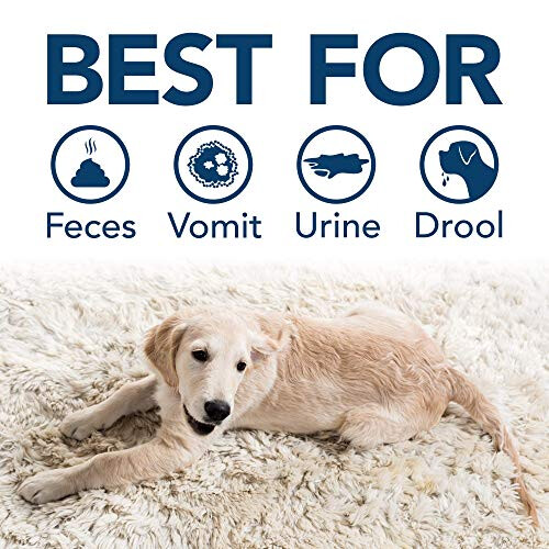 Simple Solution Dog Stain and Odour Remover, 750ml 1