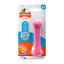 Nylabone Gentle Puppy Teething Dental Chew Toy Bone with Nubs & Ridges, Chicken Flavour, Pink, XS, for Puppies Up to 7 kg