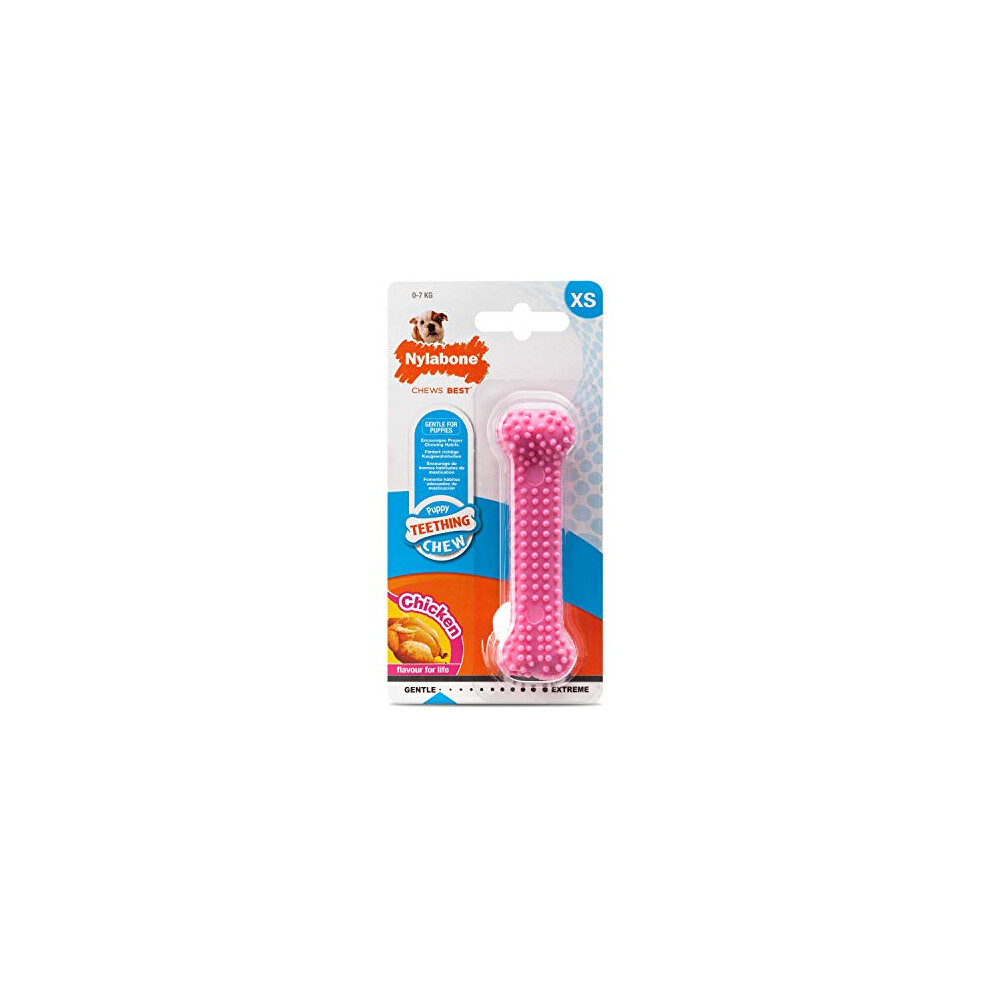 Nylabone Gentle Puppy Teething Dental Chew Toy Bone With Nubs & Ridges, Chicken Flavour, Xs, For Puppies Up To 7 Kg Pink