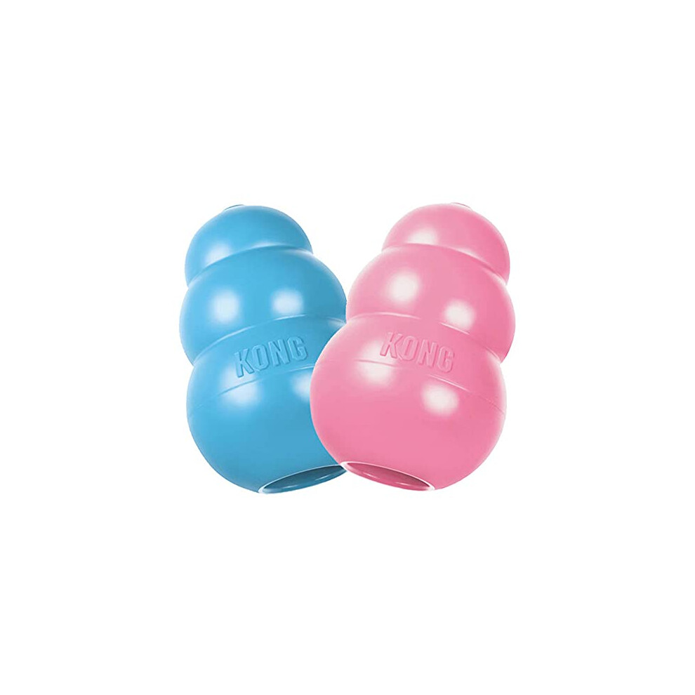 Kong - Puppy Toy Natural Teething Rubber - Fun To Chew, Chase & Fetch (Colour May Vary) - For Large Puppies