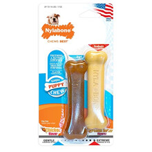 Nylabone Gentle Puppy Dog Teething Chew Toy Bones, Chicken/Peanut Butter Flavour, XS, for Puppies Up to 7kg (Twin Pack)