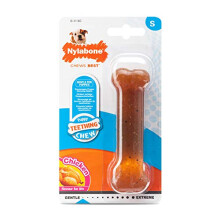 Nylabone Gentle Puppy Dog Teething Chew Toy Bone, Chicken Flavour, Small, for Puppies Up to 11 kg