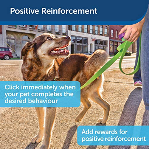 PetSafe PetSafe Clik-R Training Tool, Obedience Aid, Clicker for Dogs 2