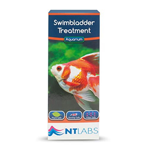NT Labs Swimbladder Treatment 100ml