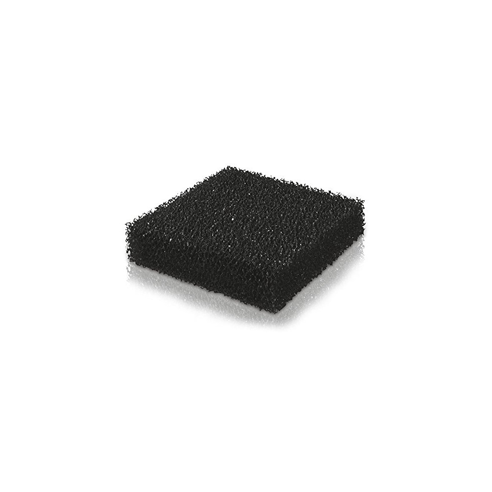 Jewel Carbon Sponge Jumbo