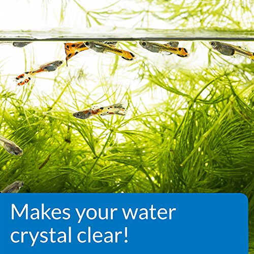 API ACCU-CLEAR Freshwater Aquarium Water Clarifier 37 ml Bottle 2