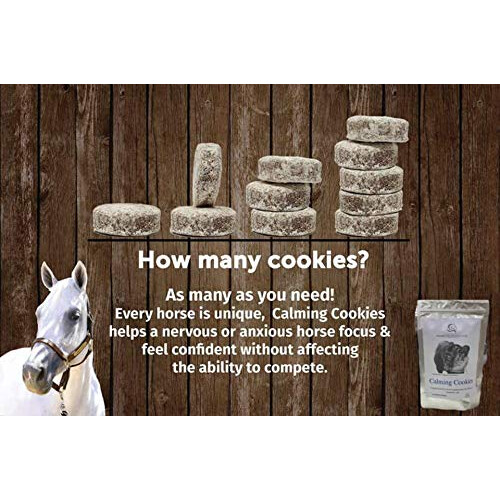 Premier Performance CZ Calming Cookies - 10 x Mint 2