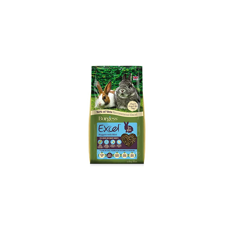 Burgess Excel Junior And Dwarf Nuggets With Mint Rabbit Food 10 Kg
