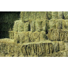 Shorefields Fresh Meadow Hay, Rabbit & Small Animal Hay, large bale, approx 17kg-22kg, 100cmx50cm x40cm, delivered free
