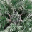 VidaXL (180 cm) vidaXL Artificial Hinged Christmas Tree Pre Lit Artificial Tree Xmas Decor 7