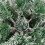 VidaXL (210 cm) vidaXL Artificial Hinged Christmas Tree Pre Lit Artificial Tree Xmas Decor 7