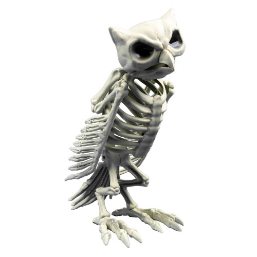 Skeleton OWL , 32cm tall