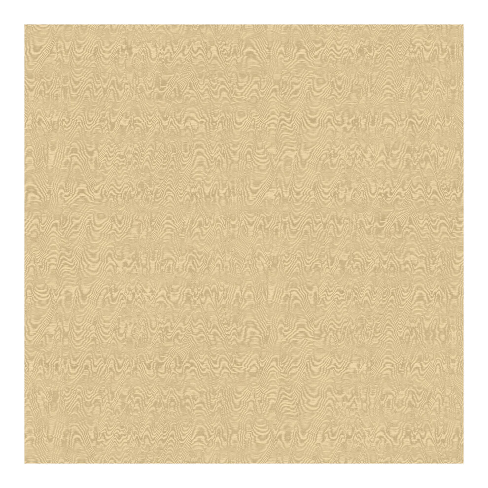 Boutique Corsetto Pale Gold Textured Plain Wallpaper (WAS 23.99)