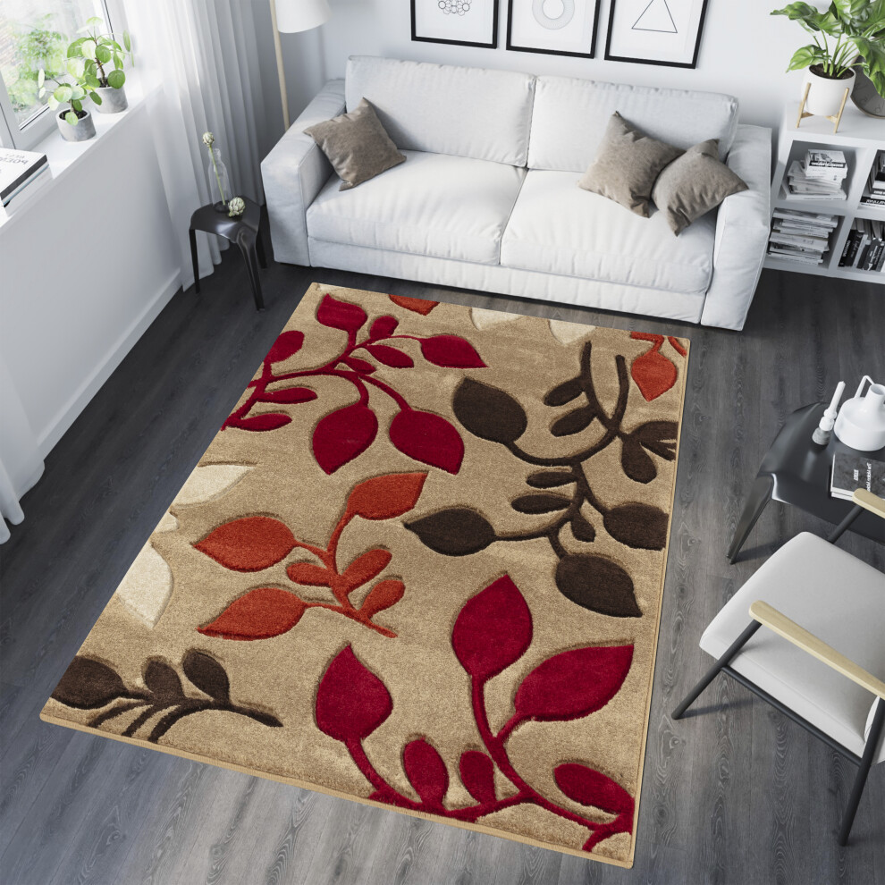 (BEIGE / TERRACOTTA, 60 cm x 120 cm) Large Modern Living Room Floral Carved Vogue Rug