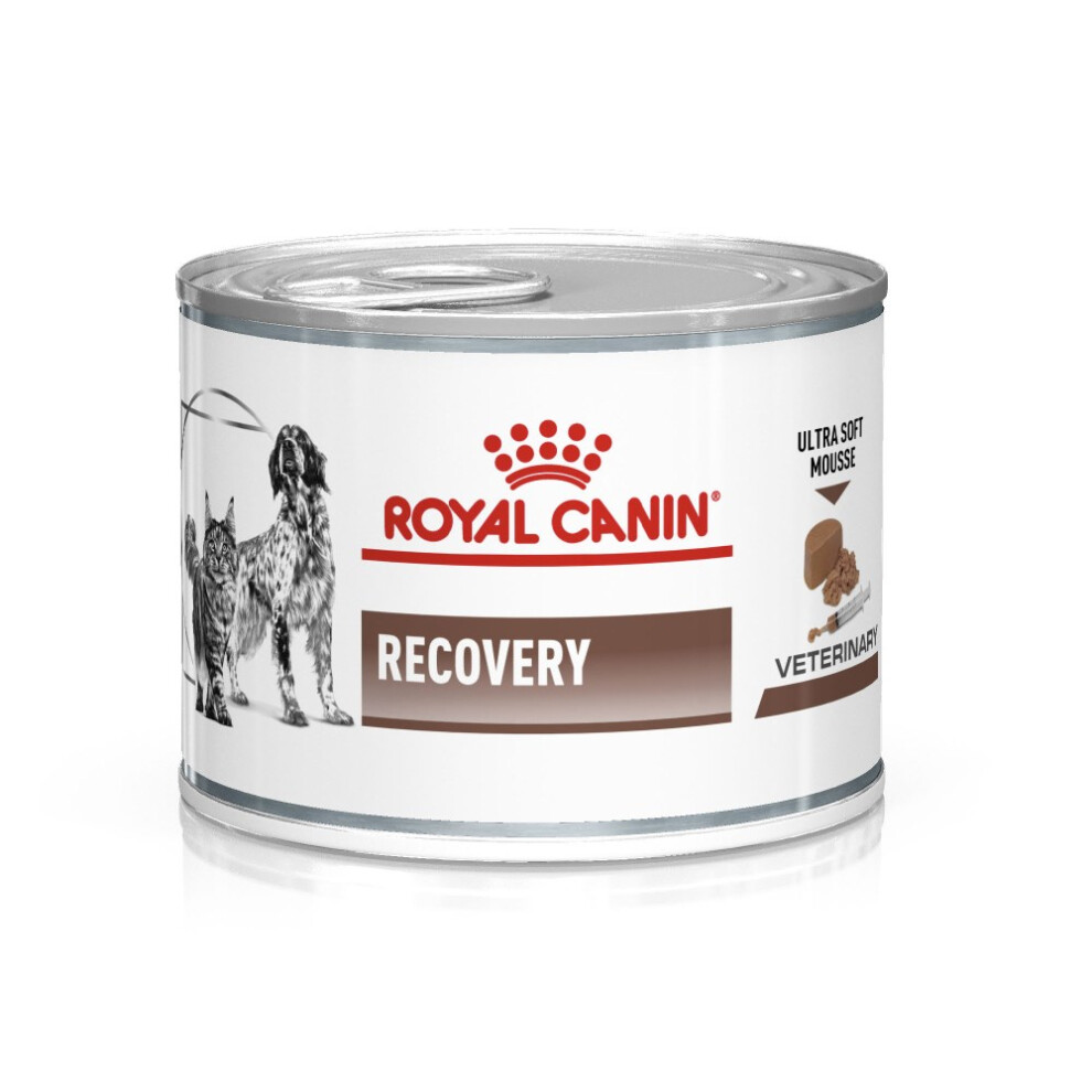 Royal Canin Veterinary Nutrition Canine/Feline Recovery Mousse 195gx12