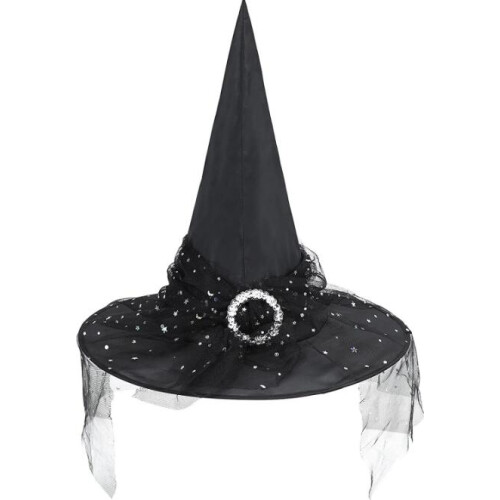 Halloween Witch Hat with Veil Pointy Witch 2